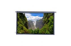 China LTM09C362S 8.9 inch 1024*600  TFT-LCD Screen Panel supplier