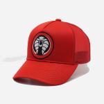 Unisex Embroidered Baseball Caps Solid Color Adjustable Leisure Caps for sale
