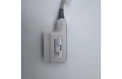 China Endocavitary Animal Ultrasound Probe for Veterinary Animal Diagnostic supplier