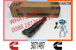 China Fuel Injector Assembly M11 PT 3064881 3071497 Fuel Injector supplier