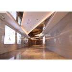 Architectural Metal Ceiling Systems , Building Facade Exterior Ceiling Claddings for sale