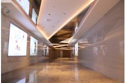 China Architectural Metal Ceiling Systems , Building Facade Exterior Ceiling Claddings supplier