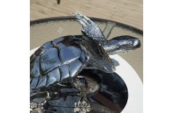 China Mirror Polishing Stainless Steel Turtle Sculpture With Custom Options supplier