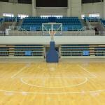 Professional Interior Sports Interlocking Flooring For Superior Sports Flooring Solutions for sale
