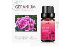 China Volume 5ml Body Essential Oils Perfume OEM / ODM Organic Geranium Essential Oil supplier