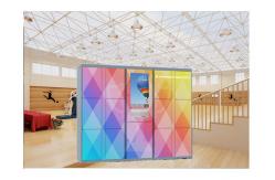 China Industrial Self Service Laundry Locker , Smart Dry Cleaning Lockers Touch Screen supplier
