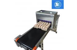 China Custom Length Egg Printing Machine With 45ml High Capacity Ink Cartridges supplier