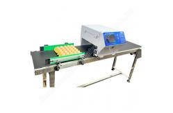 China Full Plate Spray100w Egg Coding Machine With Ink Cartridge 60kg Computer Control supplier