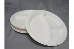 China 9 Or 10 Round Biodegradable Sugarcane Plates 3 Compartment supplier