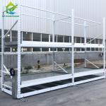 China Heavy-Duty Adjustable Rolling Bench for Greenhouses with Hot-dip Galvanized Steel Frame and 120kg/m² Load Capacity for sale