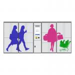Gym Shopping Mall Luggage Train Station Lockers Furniture Money Payment Coin / Bill / Credit Card Operated for sale