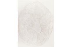 China Transparent Disposable PE Cover Single Use Elasticated Plastic Cover supplier