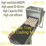 Free Upgrade Whole Tray Egg Jet Coding Machine With USB Disk Loading Easy To Edit for sale