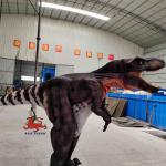 Customized Real Life T Rex Costume , Indoor Tyrannosaurus Suit