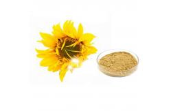 China Natural Sunflower Raw Bee Pollen Powder 98% Purity supplier