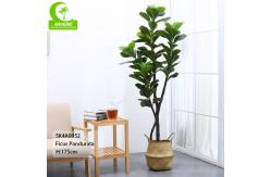 China Flame Retardant Height 155cm Aesthetic Artificial Ficus Lyrata With Pot supplier