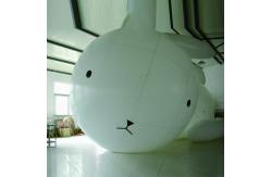China Customized inflatable cartoon, large inflatable model for advertising supplier