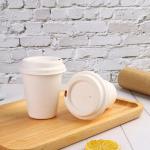 8 16oz Biodegradable Bagasse Cup Compostable Paper Coffee Cup With Lid for sale