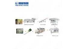 China Fruit And Vegetable Processing And Cleaning Line Leaf Vegetables Bubble Washing Machine supplier