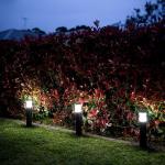 Super Bright Solar Powered Landscape Lights With White LED Lighting for sale
