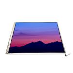 LTM14C421F 14.1 Inch 1024*768 LCD Screen Panel Display for sale