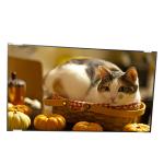 42.0 inch tft lcd display module P420HW02 V0 LCD Screen Panel for Digital Signage for sale