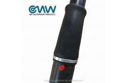 China Rear Air Ride Suspension Strut for Cadillac Escalade Chevy Tahoe Suburban 22187156 supplier