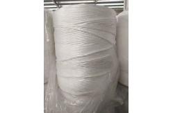 China UV Treated 8g/m Polypropylene Baler Twine Straw For Round Hay Baler supplier