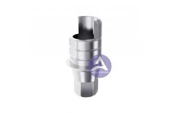 China Osstem GS(TS)® Titanium Ti-Base Abutment Compatible with  Mini/ Regular supplier