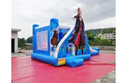 China School Frozen Anna Bounce House / Commercial Inflatable Combo Bouncy Castle Slide supplier