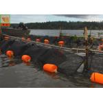 China Extruded Square Aquaculture Netting Plastic Oyster Mesh 1m Wide Black Color manufacturer