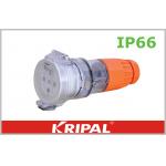 56CSC Series Industrial IP66 Plug Extention Cord 10A 20A 32A 40A 50A for sale
