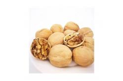 China Raw Walnut Wholesale Top Class Walnut Kernels Dried Style Walnut. supplier