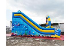 China Ocean World Dual Lane Commercial Inflatable Water Slide supplier