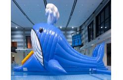 China Aquatic Park Games Jumbo Inflatable Dolphin Water Slide With Obstacle Tunnle supplier