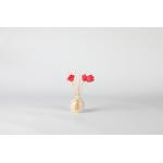 100ml Diffuser Perfume Fragrance Gift Sets 14x8x12.3cm for sale