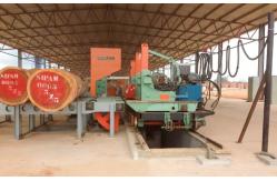 China Vertical Band Saw Machine with Trolley, Vertical Bandsaw Machine Wood Cutting supplier