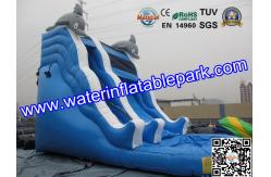 China Children Amazing Inflatable Water Slide In Outdoor , Durable Blue Inflatable Water Slide supplier