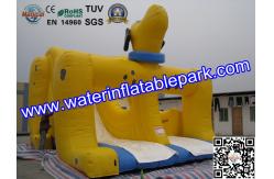 China Adults And Kids Dog Inflatable Dry Slides For Amusement Park supplier