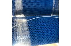 China                  Customized Plastic Conveyor Belt for Logistics Transmission              supplier