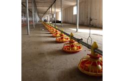China Stainless Pan Feeding System For Broiler Feed Pan Orange And White supplier