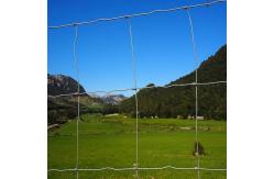China Factory supply is cheap Galvanized mesh roll Deer field farm fence supplier