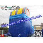 Inflatable Water Slide For Amusement Park  / Inflatable Pool Slide