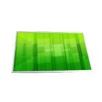 B133EW01 V3 13.3 inch 1280*800 TFT-LCD Screen Display for sale