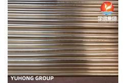 China ASTM B111 C44300 Seamless Admiralty Brass Tube For Heat Exchanger supplier
