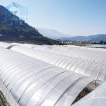 Vegetables Multispan Poly Tunnel Greenhouse With Cooling Ventilation System