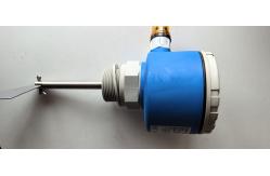 China Endress+Hauser Point Level Switch Soliswitch FTE30 Rotary Paddle Switch supplier