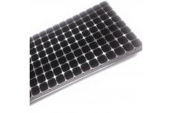 China seedling tray  --cheap price  & high quality supplier