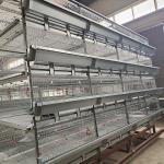 4 Doors q235 H Type Battery Broiler Equipment 3 Layers Poultry Shed for sale