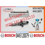 Diesel Engine Common Rail Injector 0445120079 0445 120 079 0 445 120 079 for sale